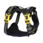 Preview: DOOG Neotech Geschirr BOLT Gr. S Preview: DOOG Neotech Geschirr BOLT Gr. S
